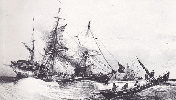 1831. Capture baleine.JPG